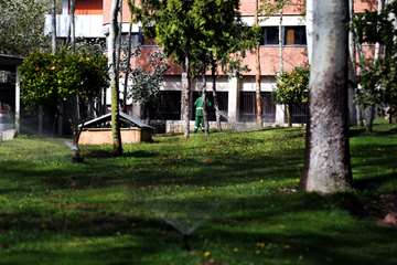 بهار در قاب دانشگاه علوم بهزیستی و توانبخشی